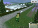 Fruechteparadies-v1-ohne-verdorren