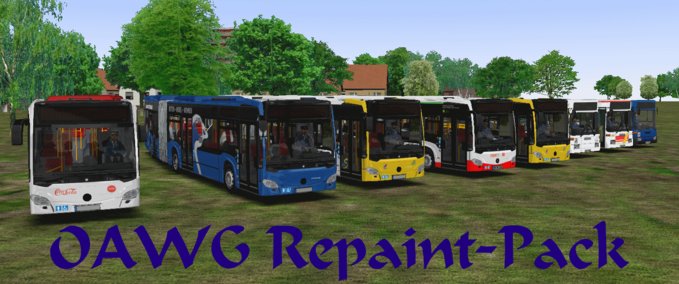Bus Skins OAWG Repaint Pack OMSI 2 mod