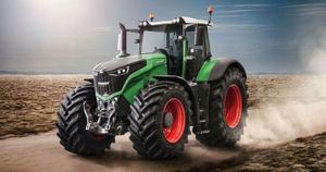 Paddy291