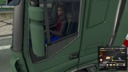 Fahrer-skin--2