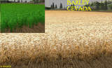 nova textura wheat barley Mod Thumbnail