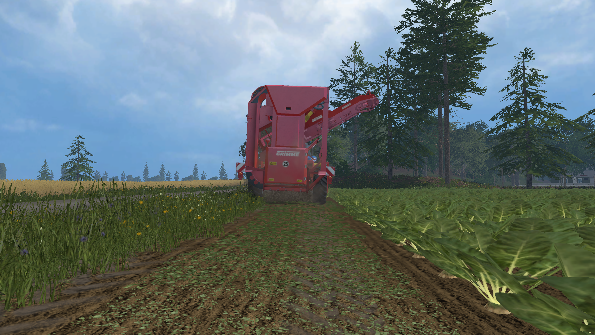 Grimme Rootster 604 - Thumbnail 1