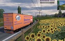 Trailer-pack-jumbov1-skin-beta-v1-lady-rose
