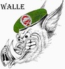 Walle1985 avatar
