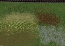 Flache-map-mit-steinen