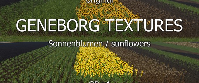Texturen Sonnenblumen Landwirtschafts Simulator mod