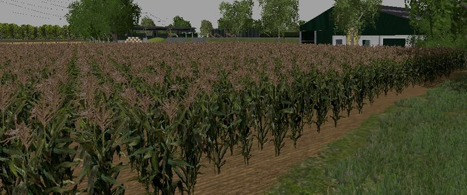 Texturen  Maize Textuur Landwirtschafts Simulator mod