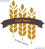 CryZ Games