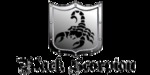 Black Scorpion avatar