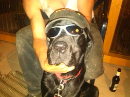 Farmer Ronny