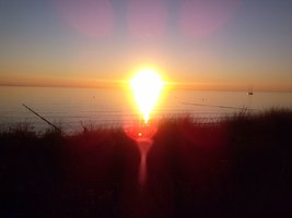 Wort_64