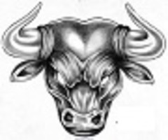 EL TORO