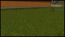 Grass-textur--4