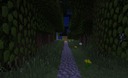 Aternos Contest