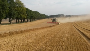 Josef1297-Claas98