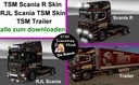 Tsm-standart-trailer-skin