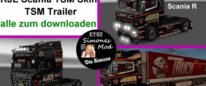 Skins TSM Standart Trailer Skin Eurotruck Simulator mod