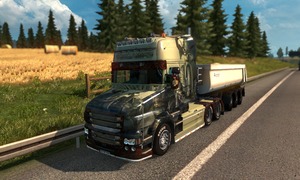 Scania96