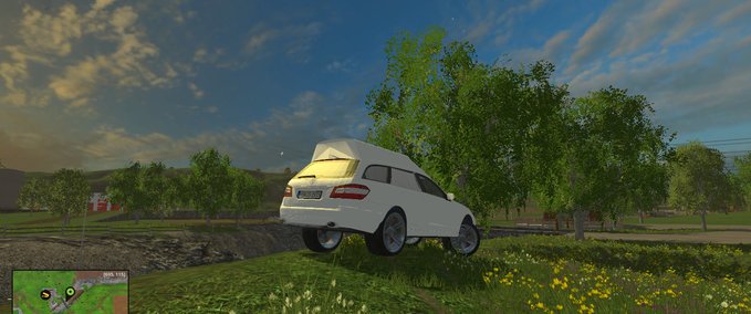 PKWs Bestattungswagen Landwirtschafts Simulator mod