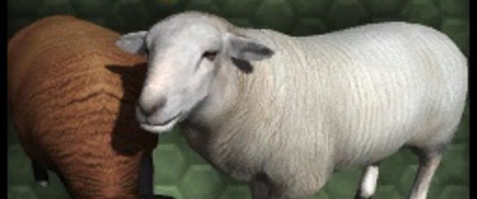 Scripte trusty Sheep Landwirtschafts Simulator mod