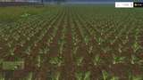 Change row spacing with beets Mod Thumbnail