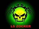 LS ZOCKER 33 avatar