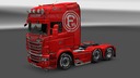 Fortuna-dusseldorf-skin
