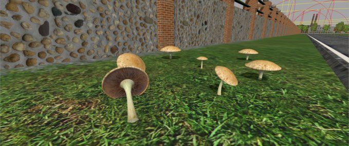 Objekte mushrooms M.M.R Landwirtschafts Simulator mod