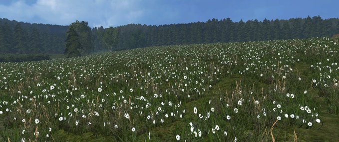 Textures Grass texture Farming Simulator mod