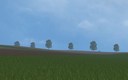 Gras-ohne-blumchen