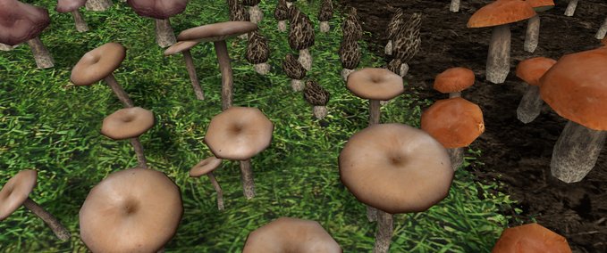 Platzierbare Objekte Pilze Landwirtschafts Simulator mod