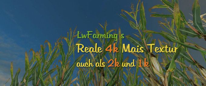 Texturen Reale 4k Mais  Landwirtschafts Simulator mod