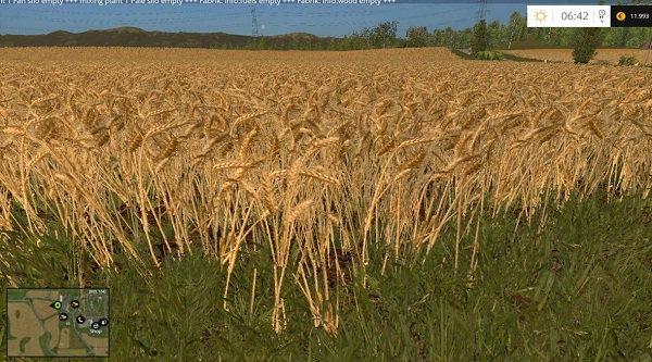 Wheat and barley texture - Thumbnail 1
