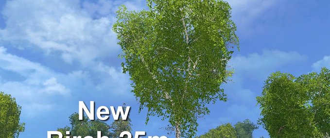 Objekte Forest new Birke 25m Landwirtschafts Simulator mod