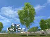 Forest new Birke 25m Mod Thumbnail