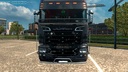 Drachen-skin-scania-rjl