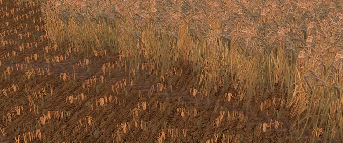 Texturen Weizen - Gerste Textur Landwirtschafts Simulator mod