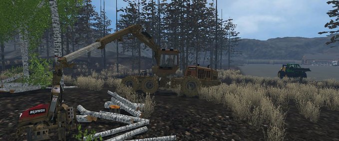 Platzierbare Objekte Birke fällen ohne Harvester Landwirtschafts Simulator mod