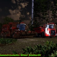 steiner91