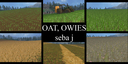 Oat-texture