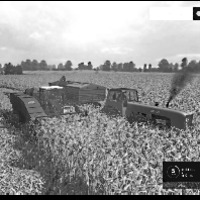 LudmillaPower