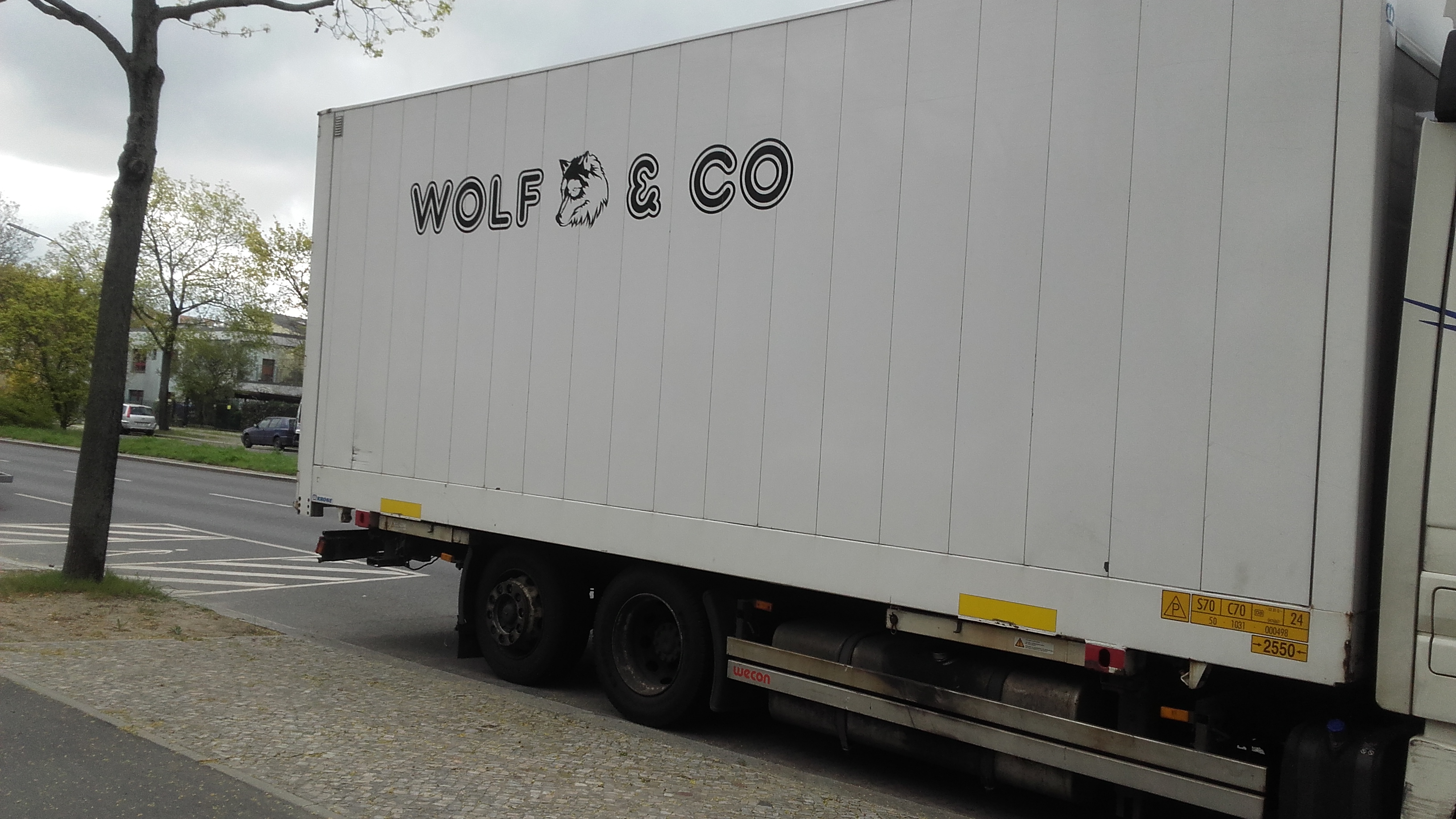 wolf and co - Thumbnail 1