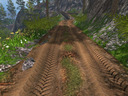 Forest-roads