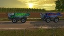 Amazonepantera-blau-dunkel-rot-ls15