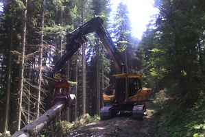 Holzkutscher