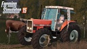Massey-ferguson-3080-washable