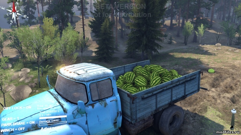 Wassermelonen - Thumbnail 1