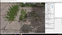 Foliage-layer