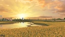 Muddy-map