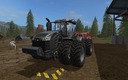 Cat-challenger-x